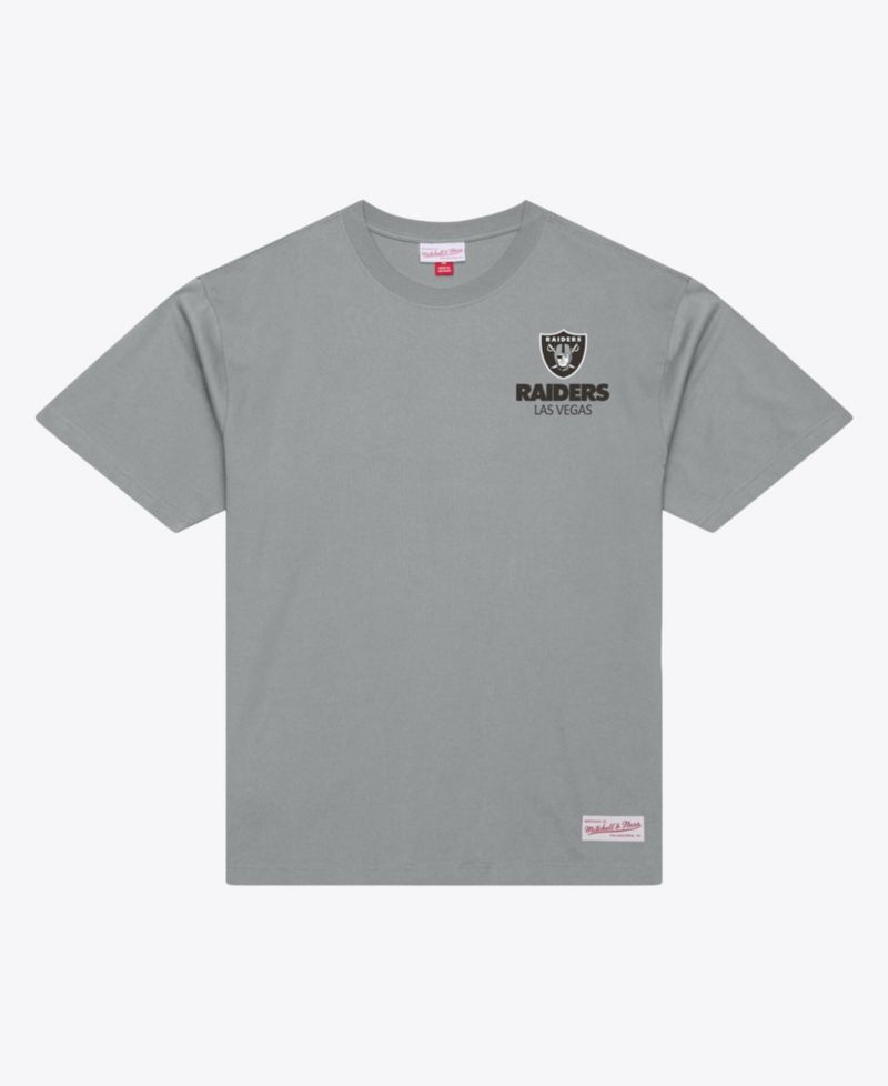 Men's Gray Las Vegas Raiders Core Essentials Micro Logo T-Shirt