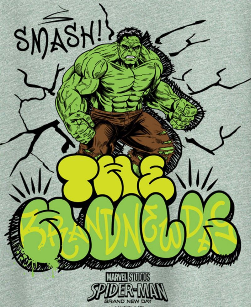 Plus Size Spider-Man Brand New Day The Hulk Graphic T-Shirt