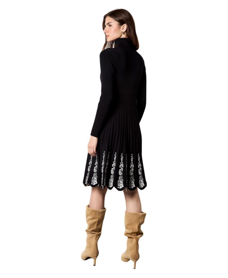 Women's High-Neck Lace Embroidery Fit & Flare Dress