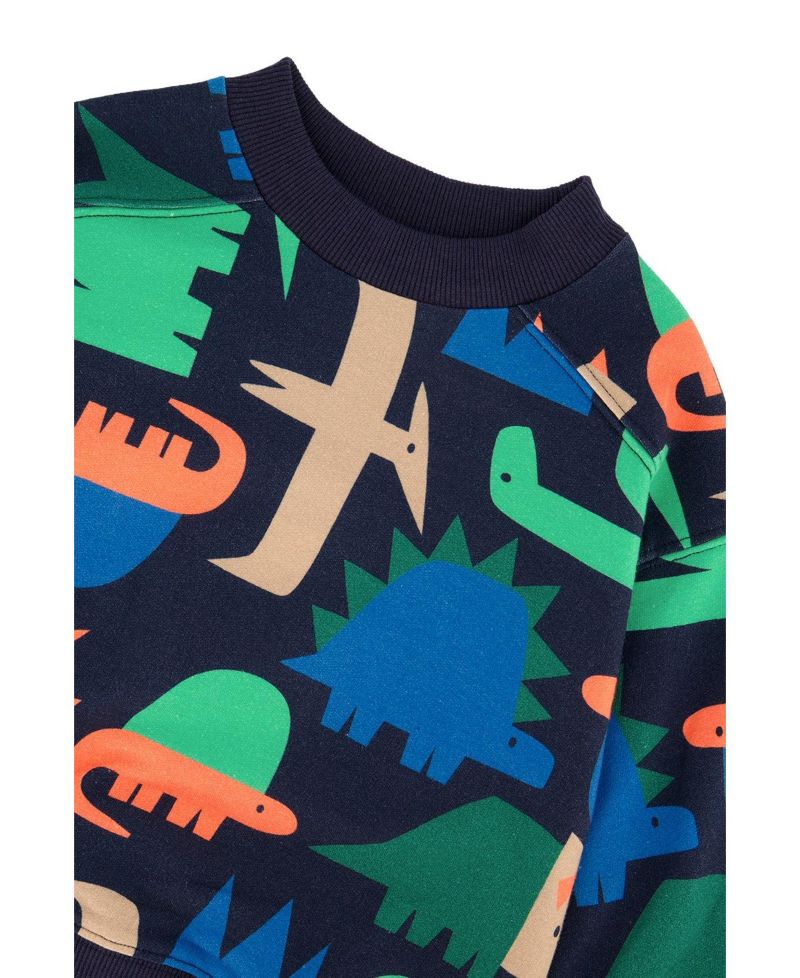Big Boys (6-12) Fleece Sweatshirt Dinosaur Print