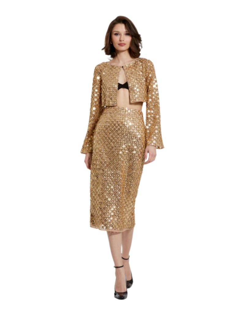 Women's Sequin Embellished Mesh Fitted Midi Pencil Skirt