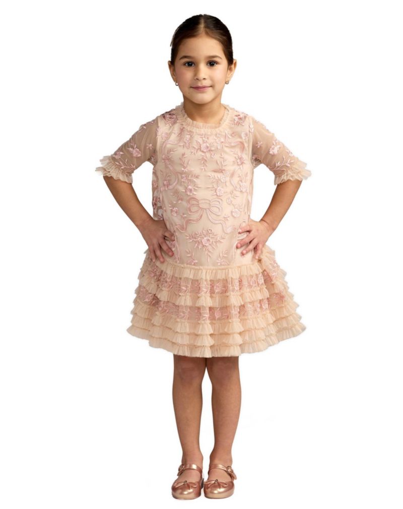 Little Girls Micro Ruffle Embroidered Mini Dress
