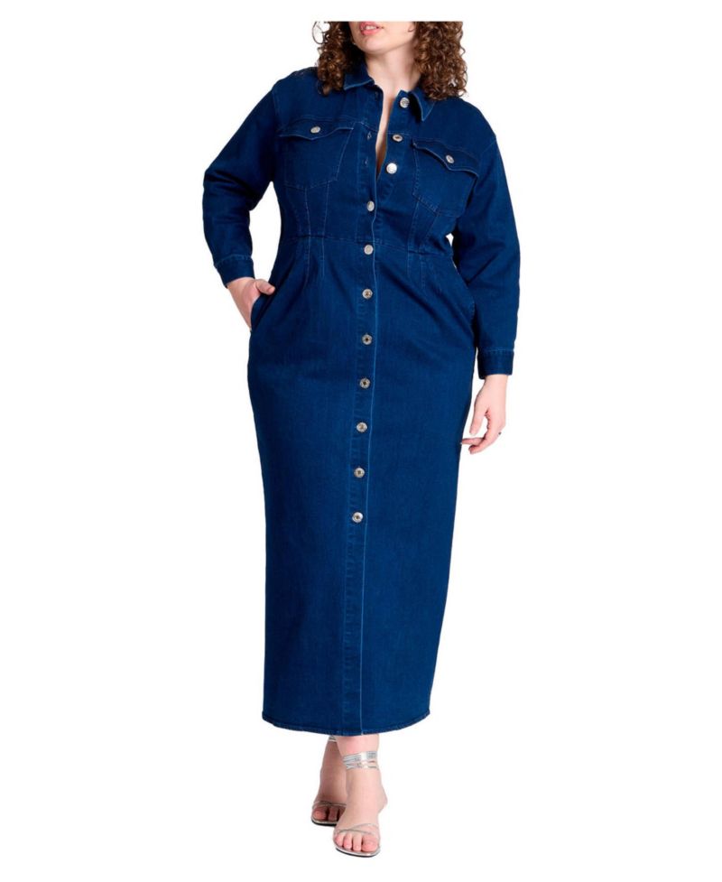 Women's Denim Fitted Dress