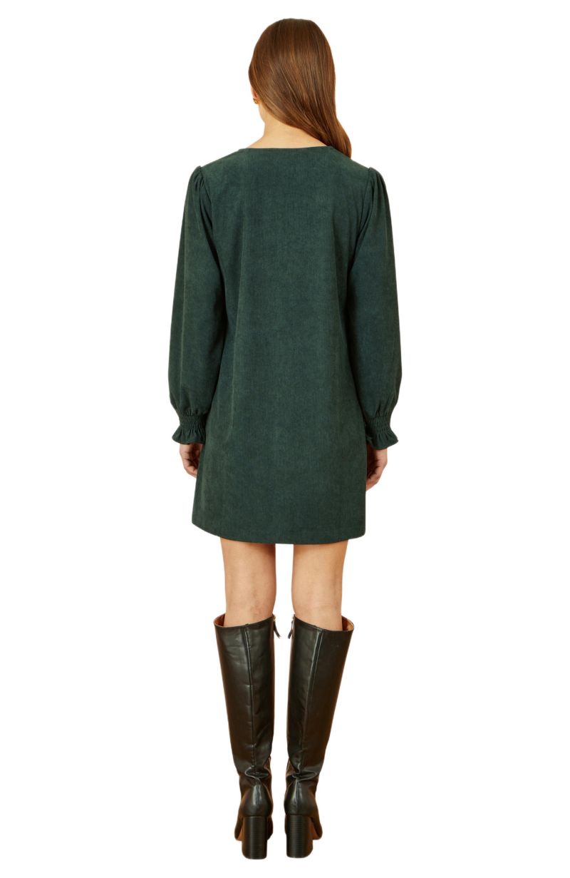 Women's Long Sleeve V-Neck Mini Dress