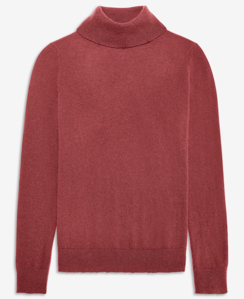 Petite Cashmere Turtleneck Sweater