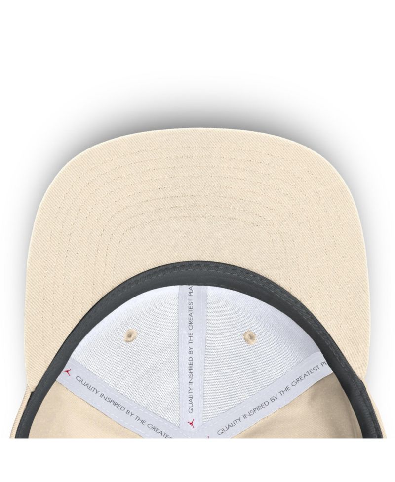 Men's Natural Michigan Wolverines 2026 Primetime Swooshflex Hat