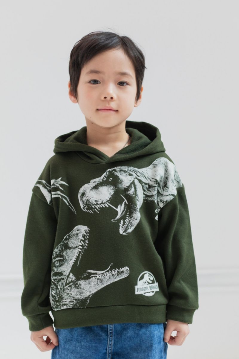 Boys' Fleece Hoodie