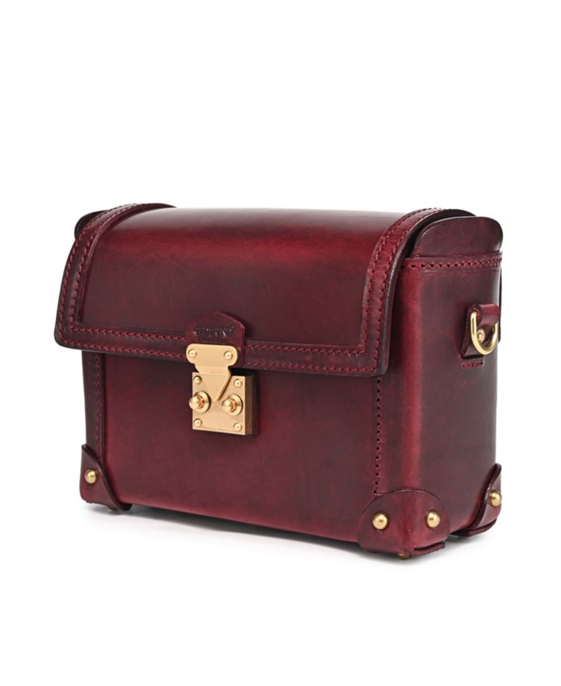 Azalea Vintage Case Crossbody Bag