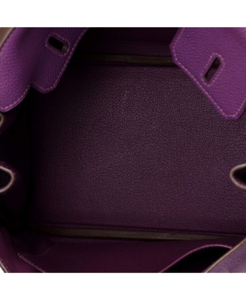 Birkin 25 Handbag Purple Togo with Palladium Hardware