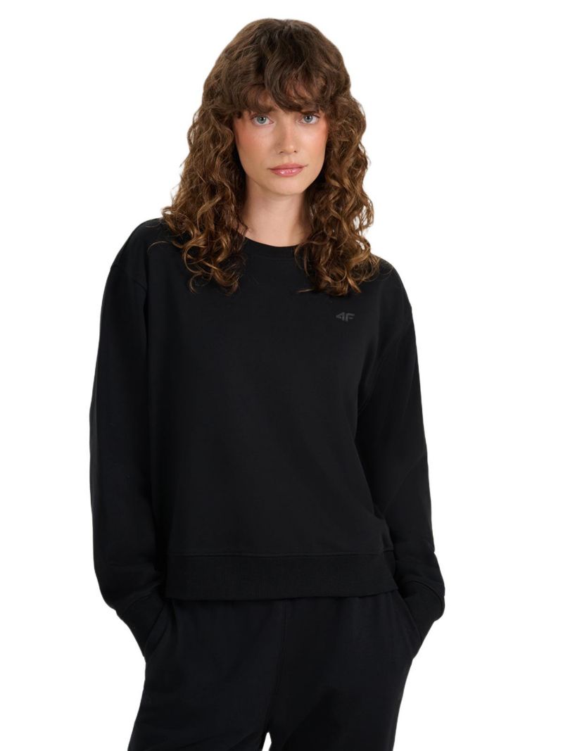 Women's Pullover Basic Sweatshirt Without Hood