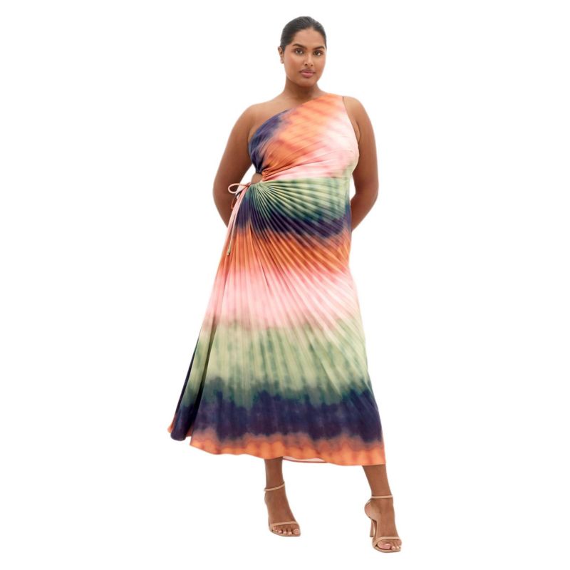 Women's Aliza Facet Print Pleat Maxi Dress
