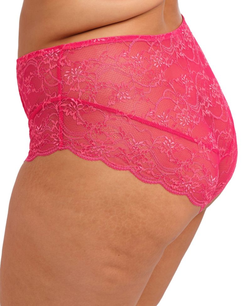 Plus Size Darcie Full-Coverage Brief