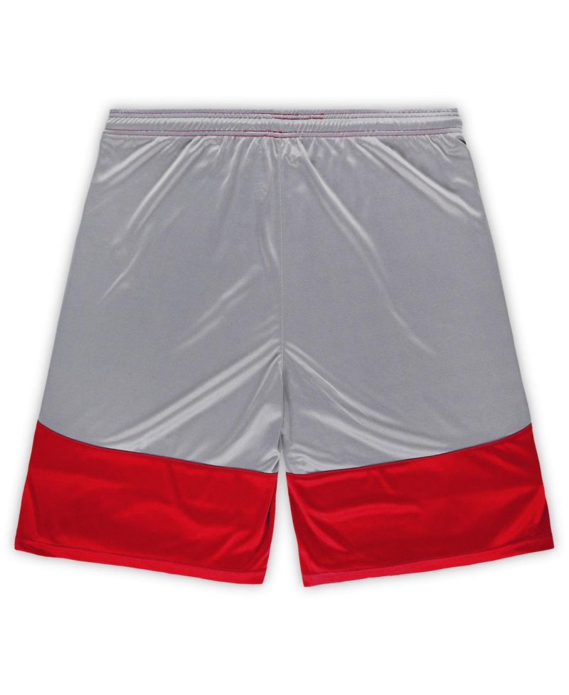Men's Scarlet/Silver San Francisco 49ers Big & Tall Team Logo Shorts