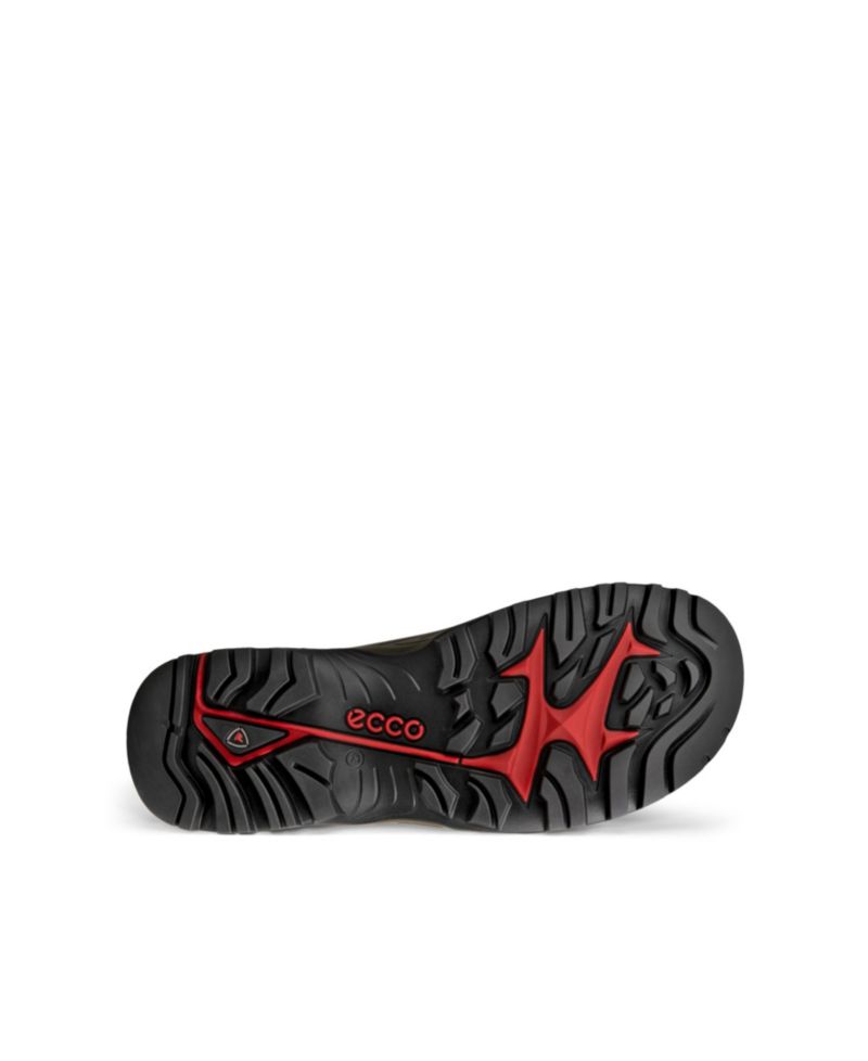 Men's Offroad Waterproof Low Trail Sneakers