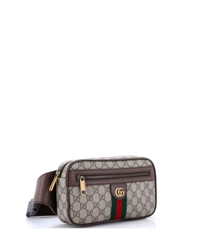 Ophidia Belt Bag