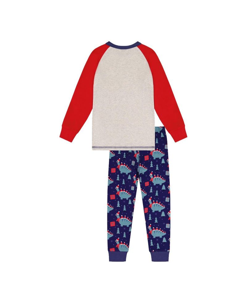 Little Boys 6-12 Cotton Two Piece Pajama Set Dinosaur Print