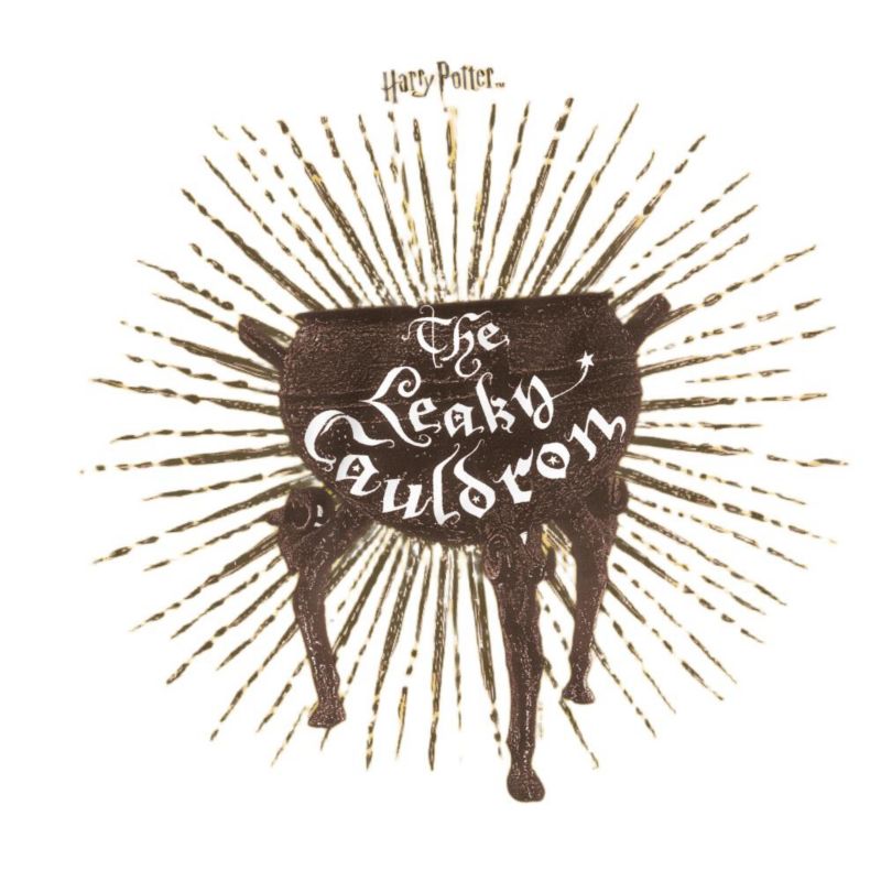 Men's The Leaky Cauldron T Shirt