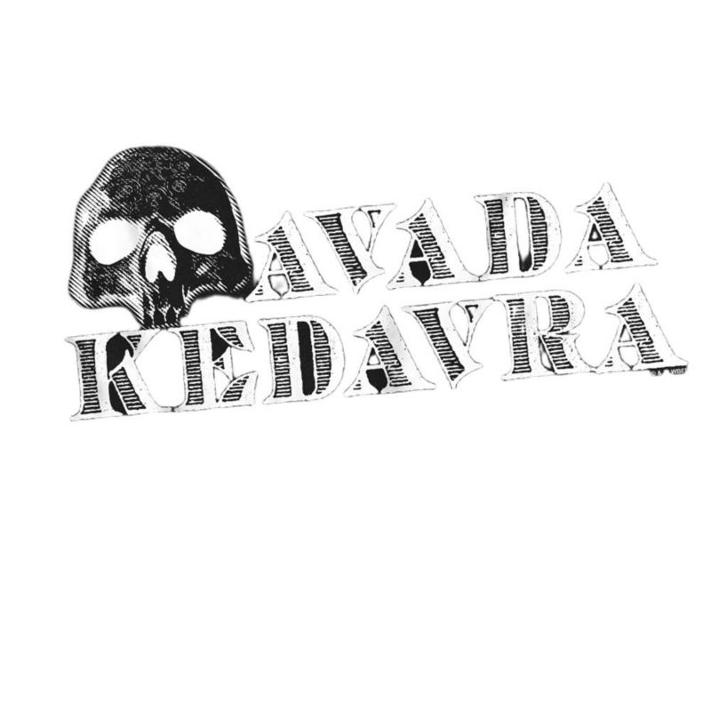 Men's Big & Tall Avada Kedavra T Shirt