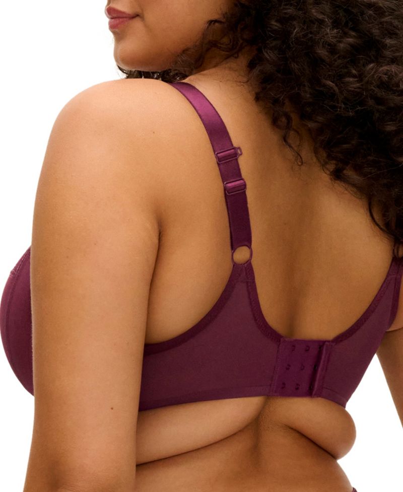 Plus Size Reja Underwire Plunge Bra