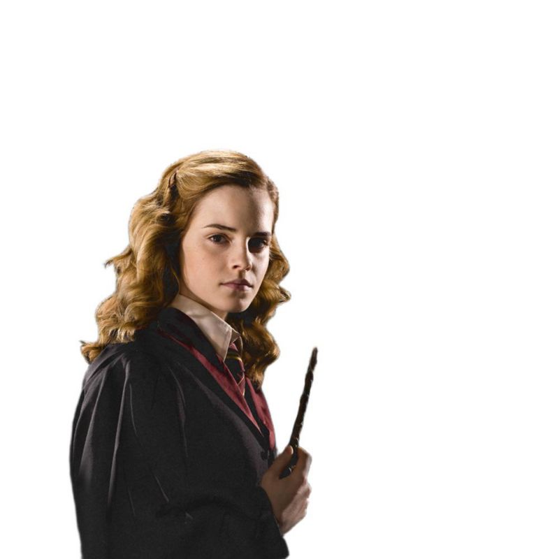Big & Tall Hermione Granger Homage T Shirt