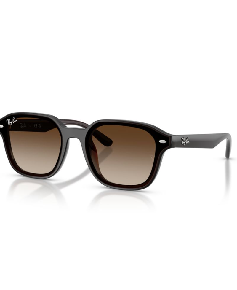 Unisex Large Sunglasses, RB4458D
