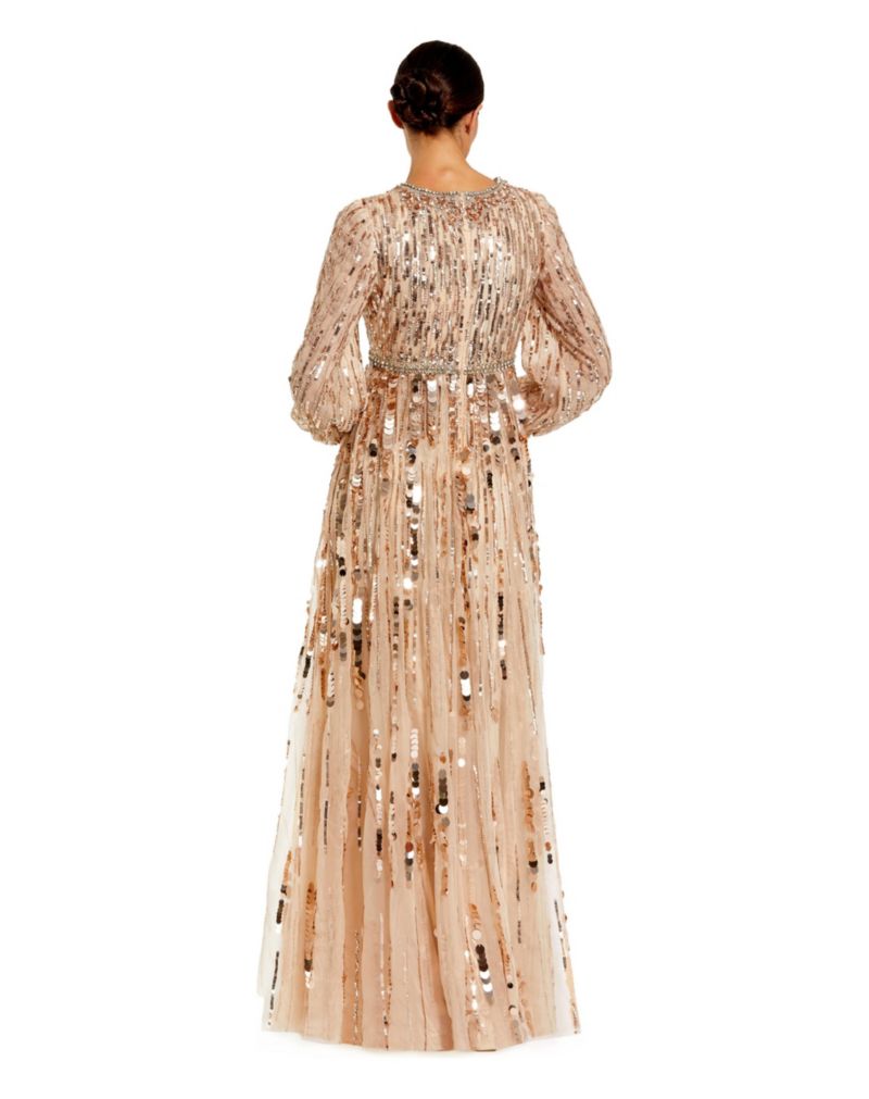 Women's Embellished Mesh Long Sleeve V Neck Gown