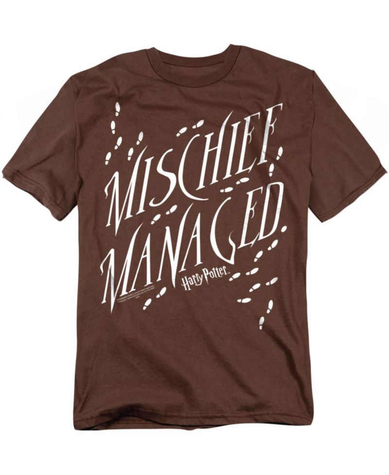 Men's Mischief Managed 4 T-Shirt