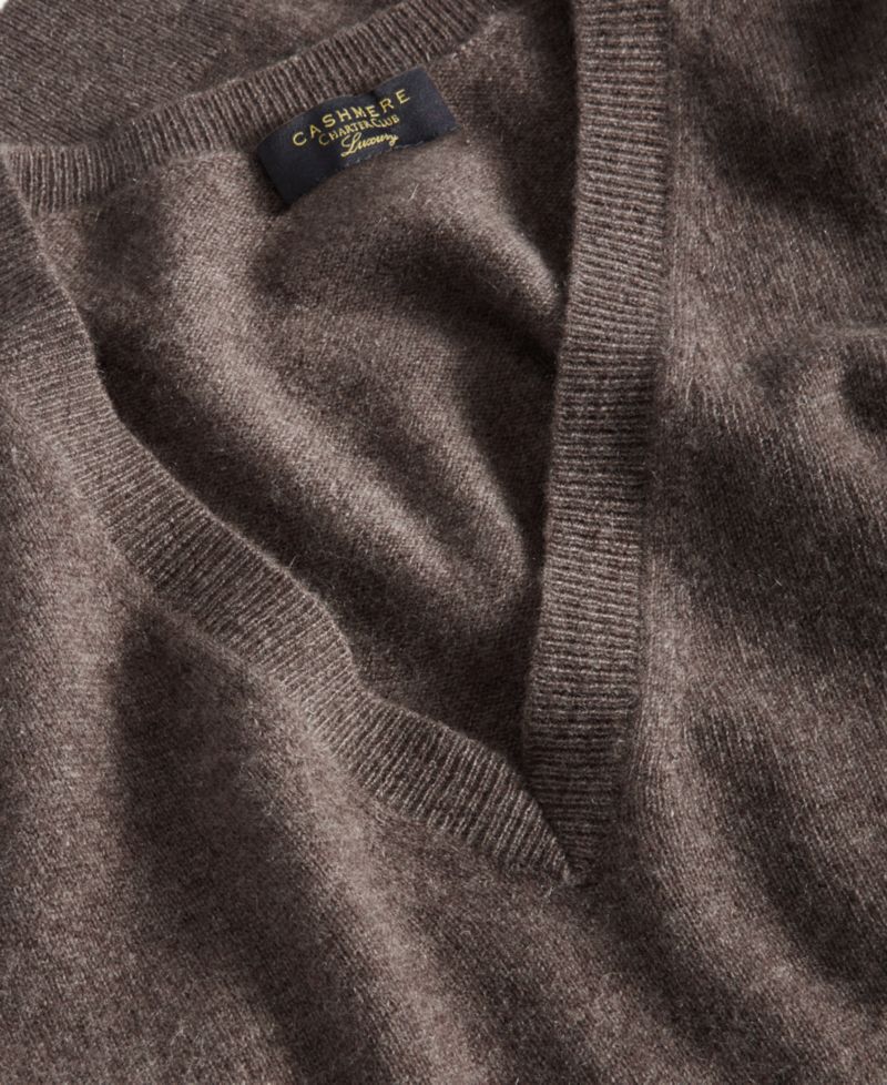 100% Cashmere Petite V-Neck Long-Sleeve Sweater
