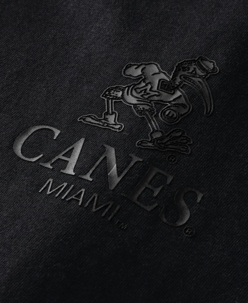 Men's Black Miami Hurricanes Monochrome Icon T-Shirt