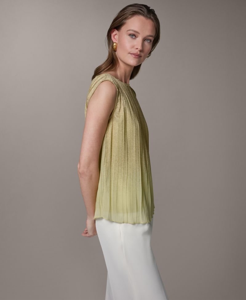 Petite Boat Neck Sleeveless Blouse