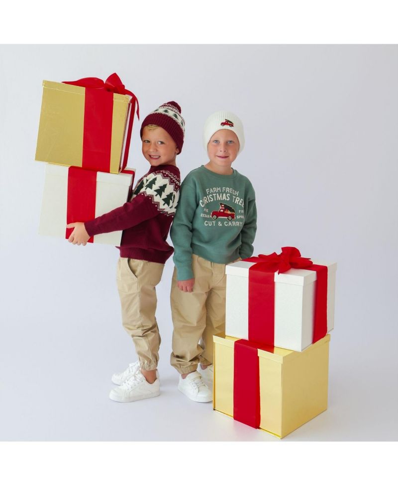 Boys' 4-20 Farm Fresh Christmas Tree Patch Sweatshirt
