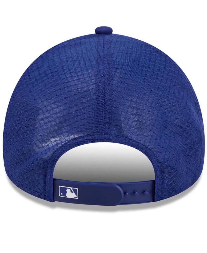Men's Royal Los Angeles Dodgers 2026 Batting Practice Alternate Apex 9FORTY Adjustable Hat