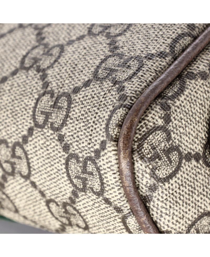 Mini Ophidia Shoulder Bag GG Coated Canvas