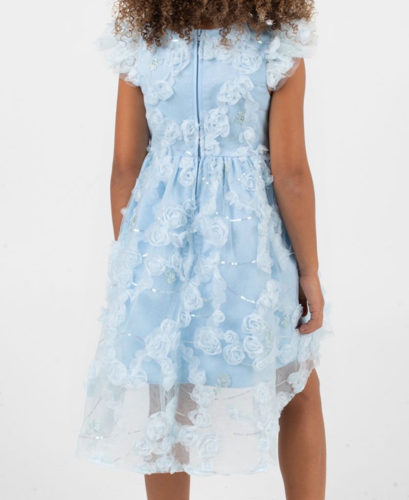 Girls' 2T-6X Rose Soutache Flutter-Sleeve Dress