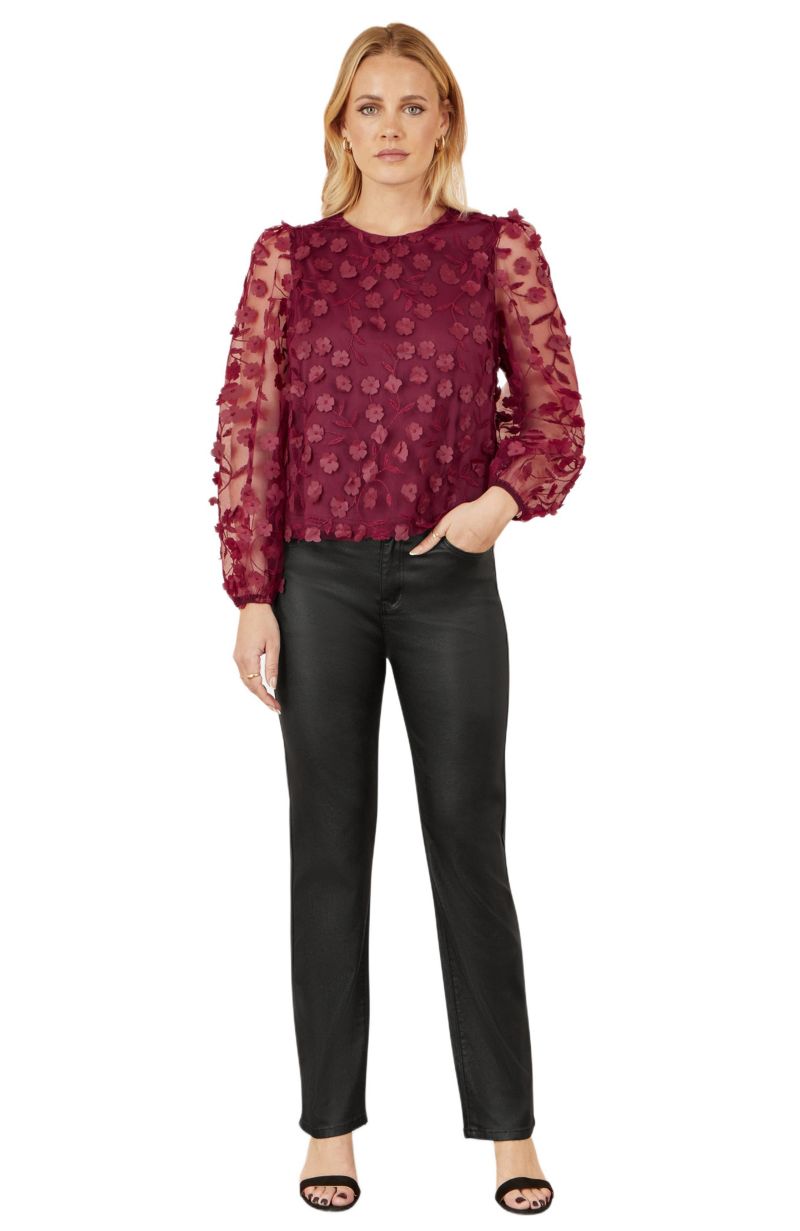 Women's Sheer Sleeve Applique Top