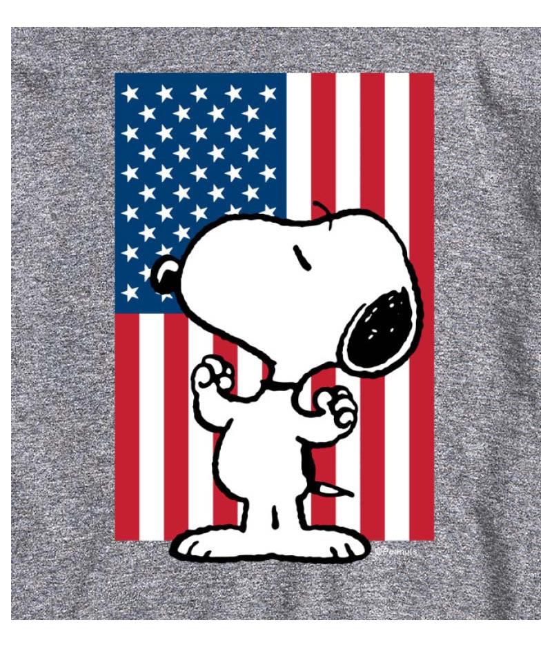 Hybrid Apparel Peanuts Flag Mens Short Sleeve Tee