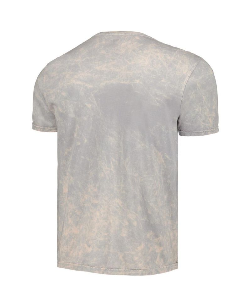 Men's Gray MTV Flamingo Washed T-shirt