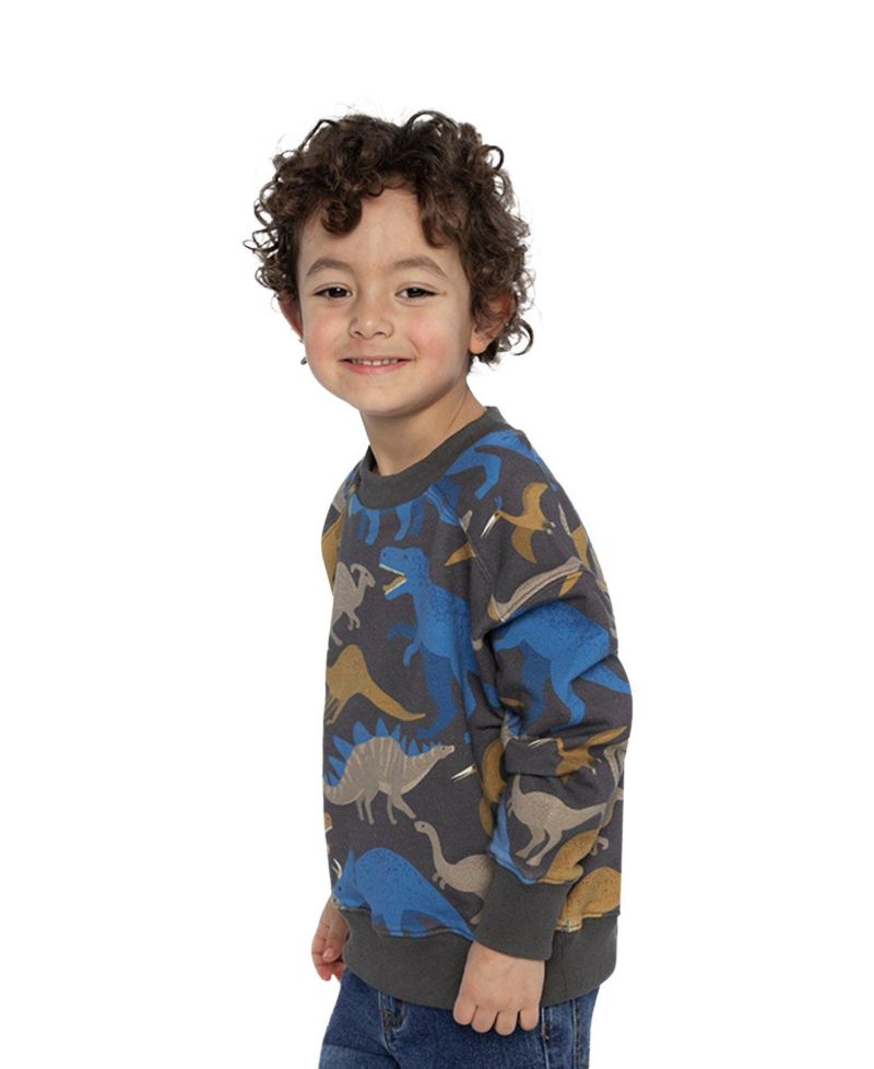 Little Boys (6-12) Fleece Sweatshirt