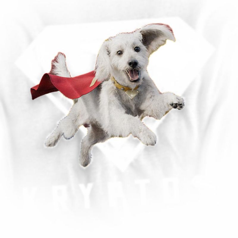 Men's Krypto Shield Graphic Long-Sleeve Crewneck Sweatshirt