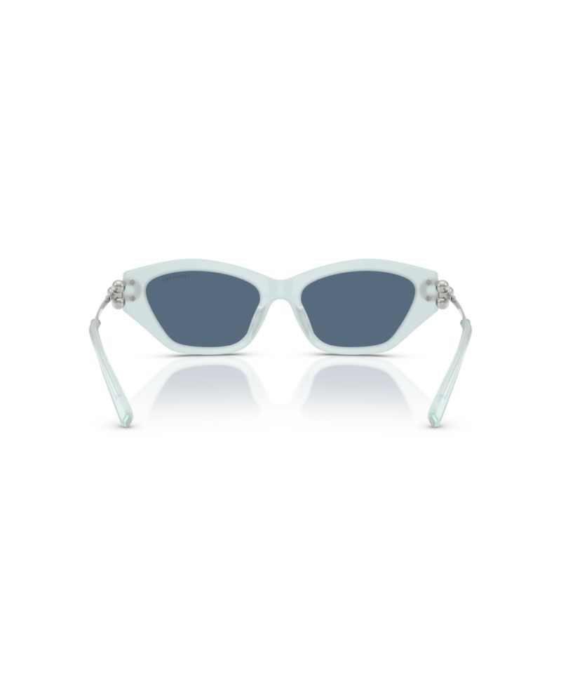 Women's Standard Sunglasses, TF4231U