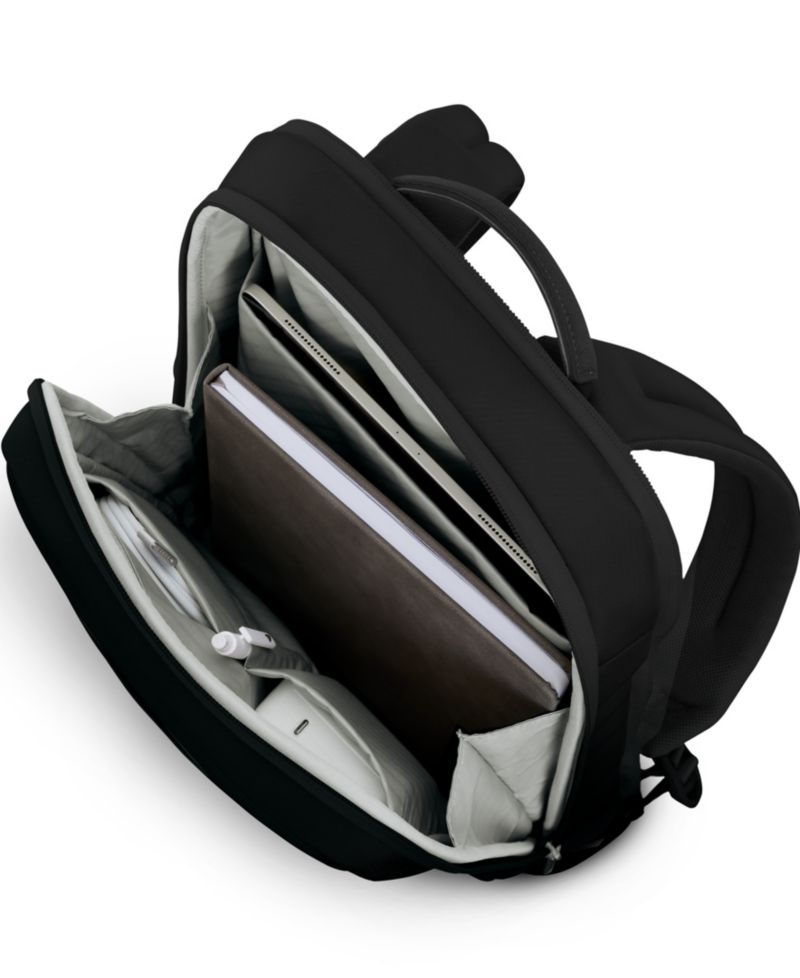 Paralux 2:1 Travel Backpack