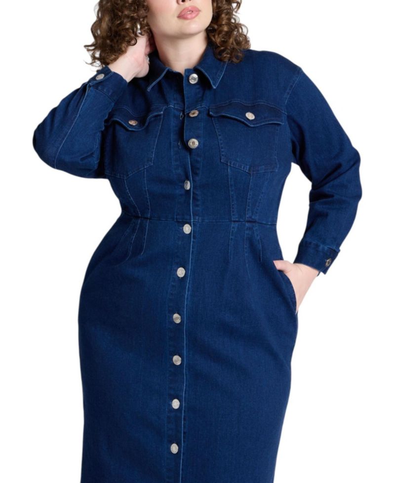 Women's Denim Fitted Dress