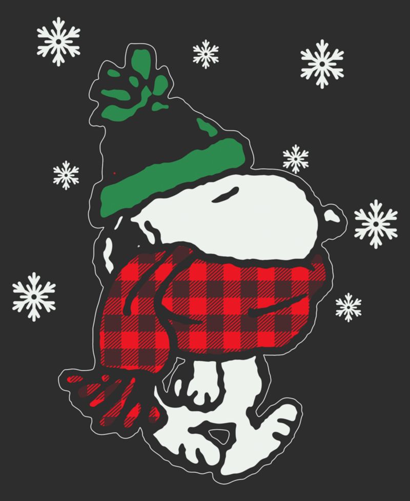 Men's Snoopy Let It Snow Graphic T-Shirt