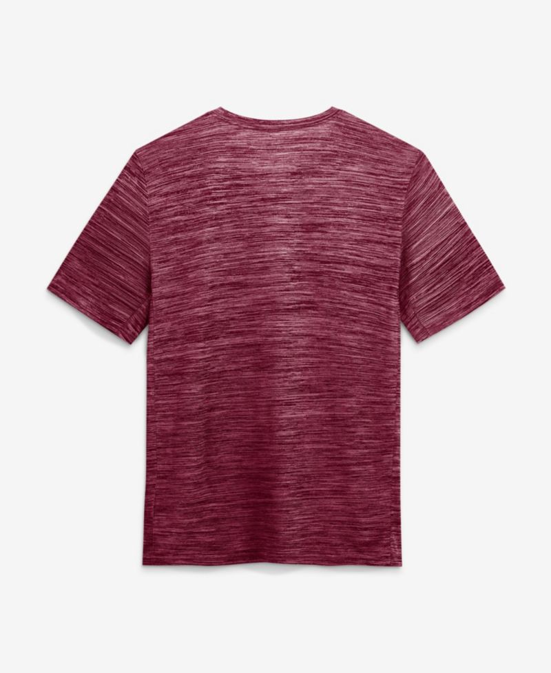 Men's Garnet Florida State Seminoles Sideline Velocity Dri-FIT T-Shirt