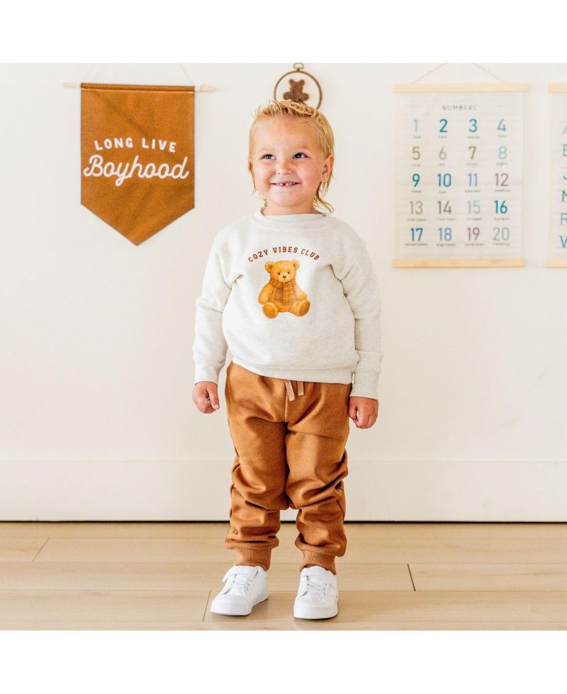Baby Boys Cozy Teddy Sweatshirt