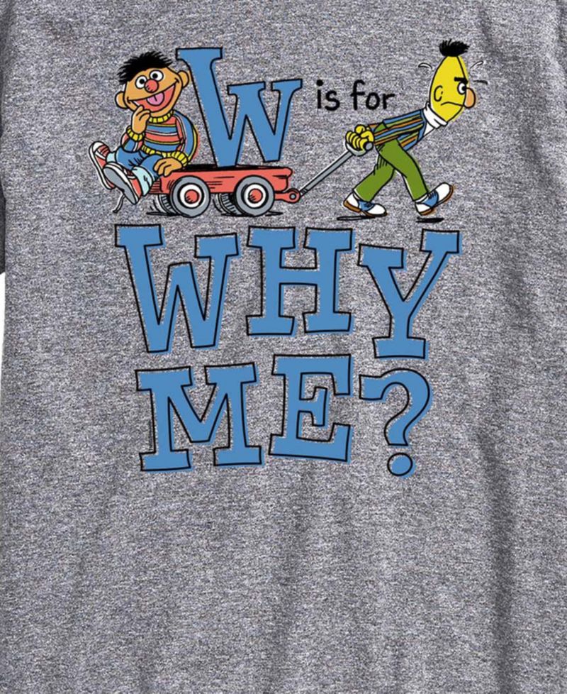 Men's Sesame Street Is For Why Me Short-Sleeve Graphic T-Shirt