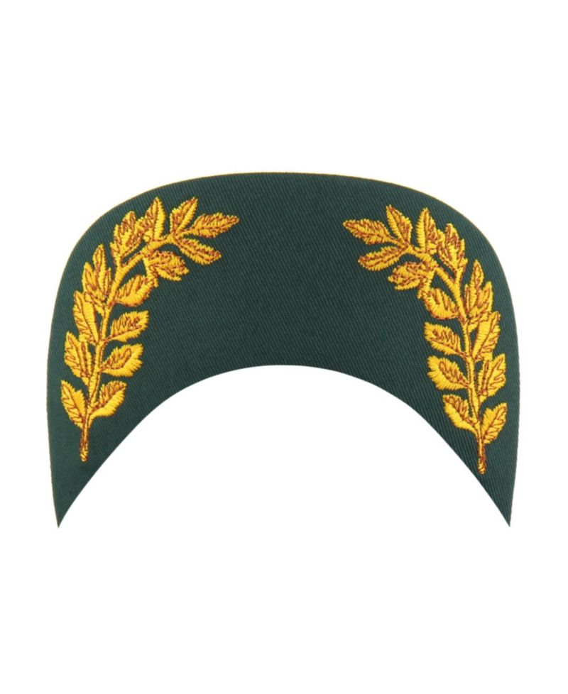 Men's Dark Green New York Mets Keepsake Collection Adjustable Hitch Hat