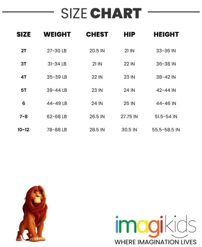Toddler Boys Disney 2T-5T Lion Guard Simba Timon Pumbaa Rafiki 3-Pack T-Shirts