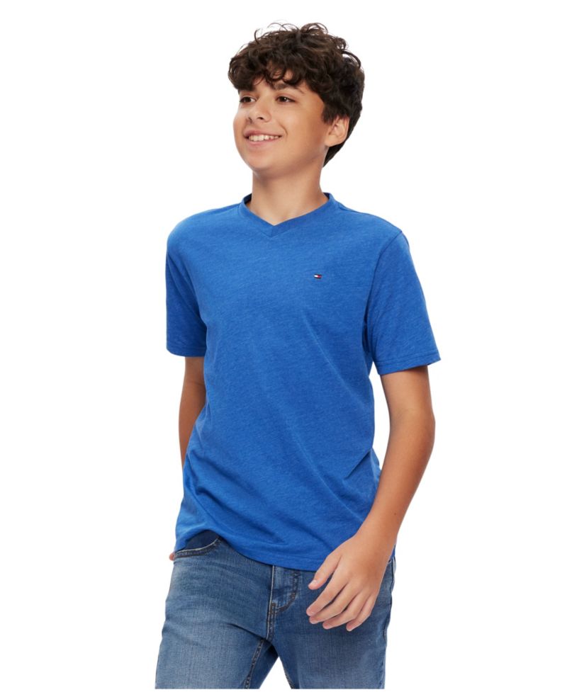 Toddler and Little Boys Embroidered Logo V-Neck Tee
