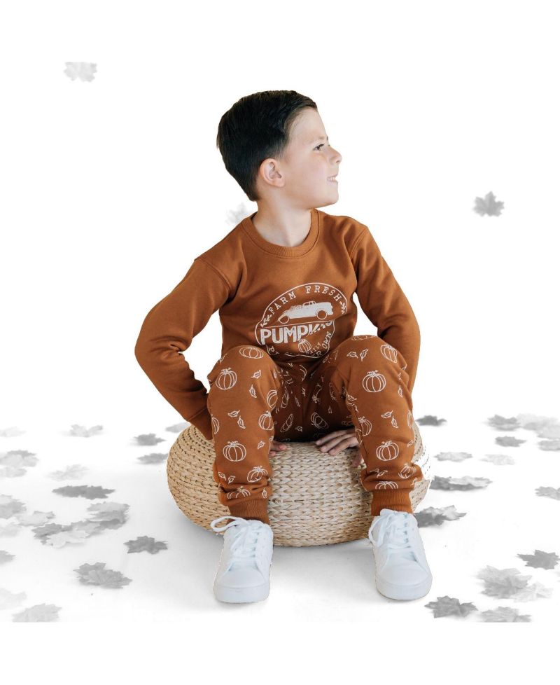 Little Boys Farm Fresh Pumpkins Sweatshirt